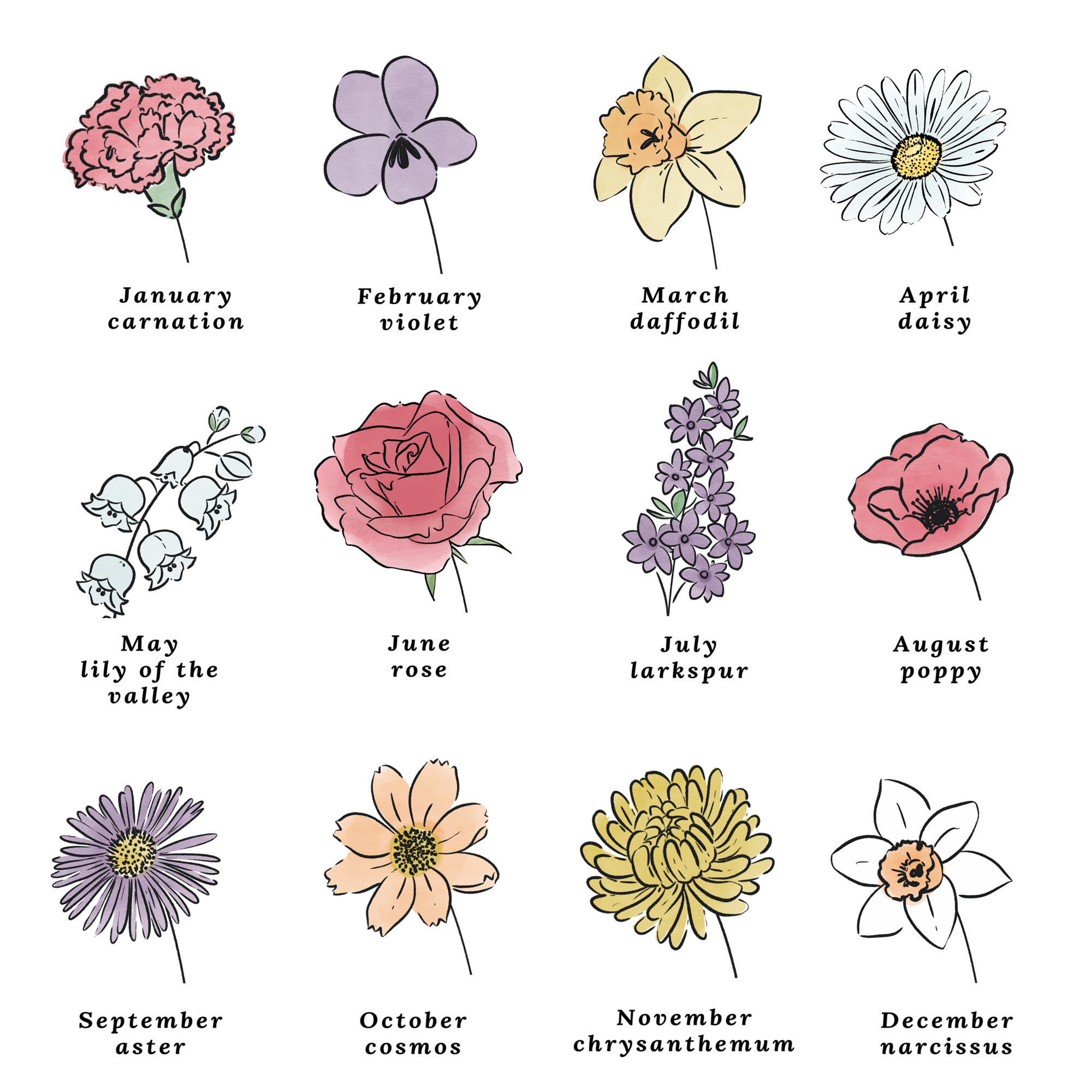 Birth Flower Bouquet Print Up to 5 Flowers Jane